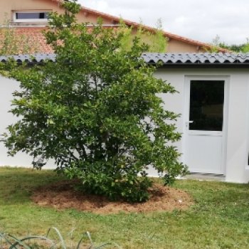 GARAGE 1 PTE 2